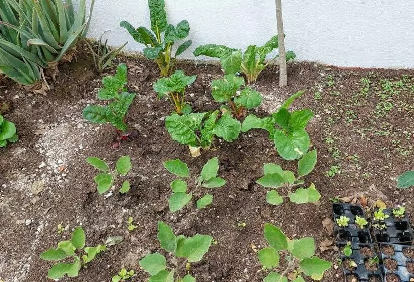 Aamiaismajoitus (B&B) Villa Bonita