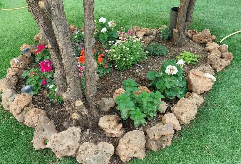 Aamiaismajoitus (B&B) Villa Bonita