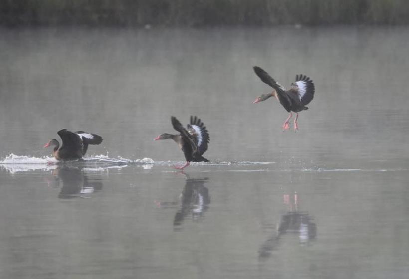 호텔 Campestre Rancho California