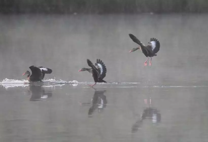 ホテル Campestre Rancho California