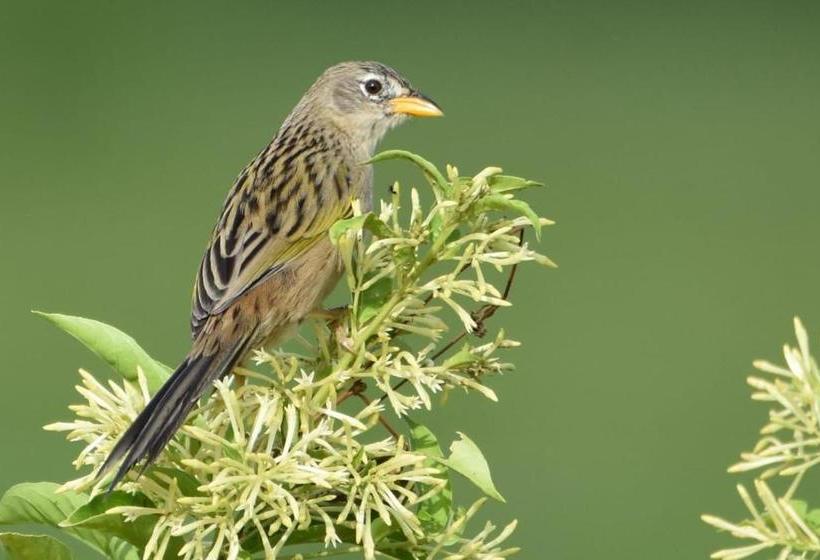 호텔 Campestre Rancho California
