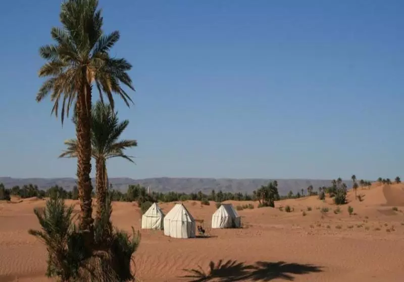 ホテル Sahara Safari Camp
