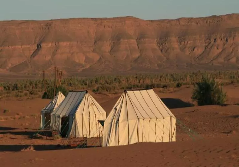 ホテル Sahara Safari Camp