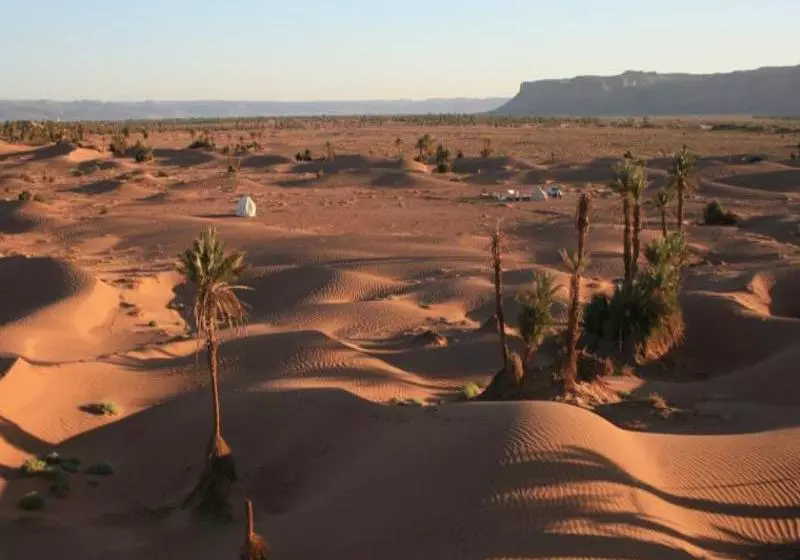 ホテル Sahara Safari Camp