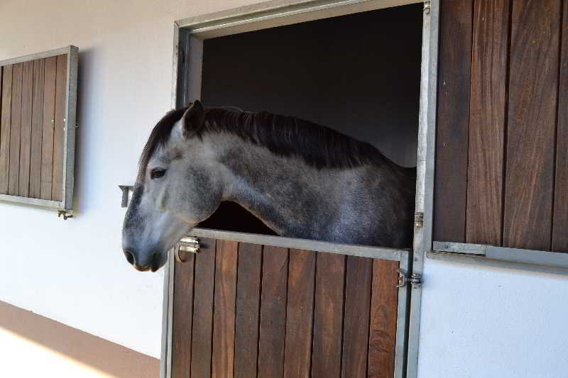 酒店 Solar Doespirito Santo