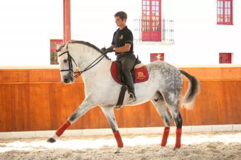 Отель Solar Doespirito Santo