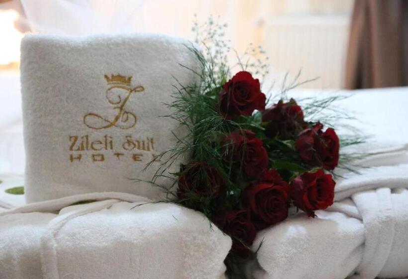 فندق Zileli