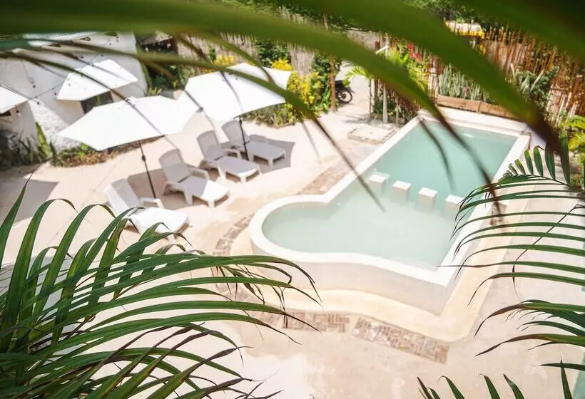 Arte Sano Hotel Only Adults Near Beach