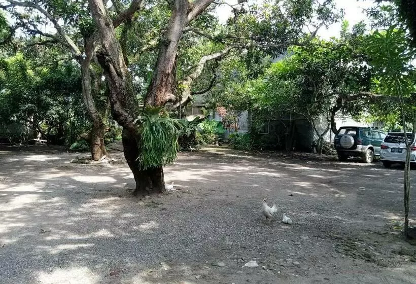 ホテル Oyo 90852 Madani Guesthouse