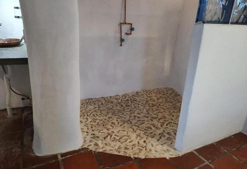 Пансион The O Asis