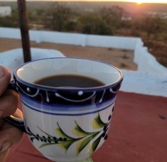 Пансион The O Asis