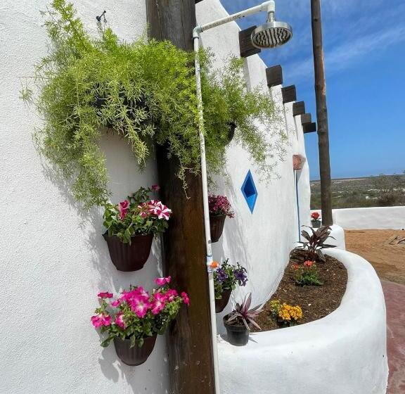 Пансион The O Asis