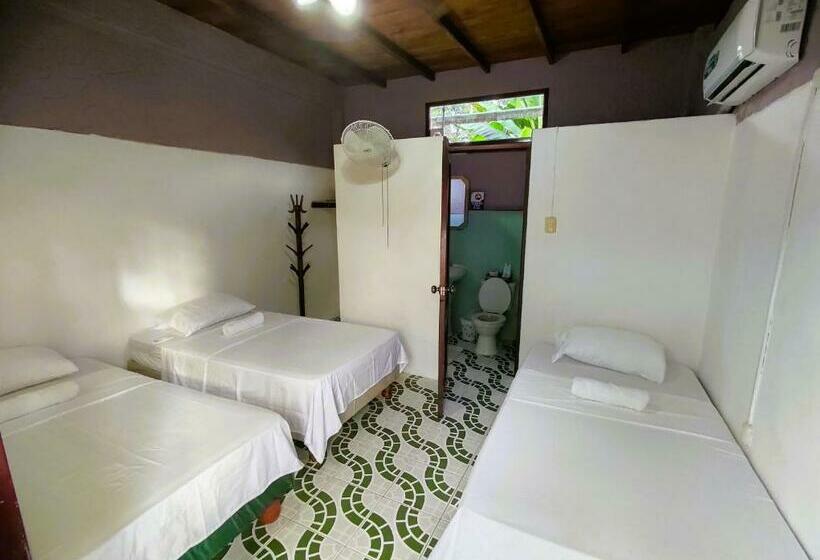 هاستل Casa Del Merman At Gaymontanita House