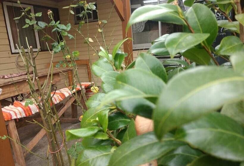 Pension Hostal Montaña