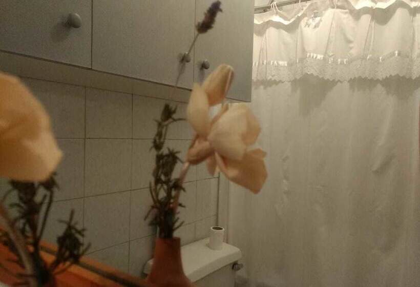 Pension Hostal Montaña