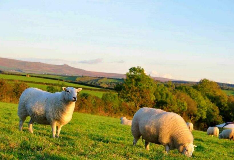 Hotel Moor View Cabin