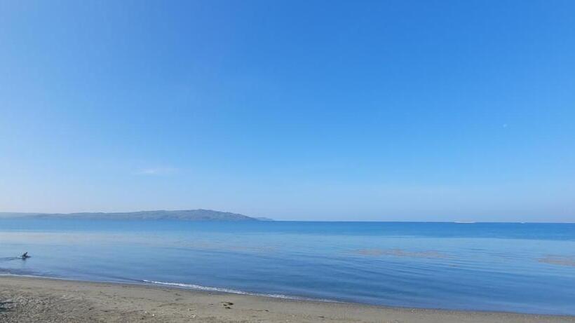 酒店 Beachfront Bed & Breakfast