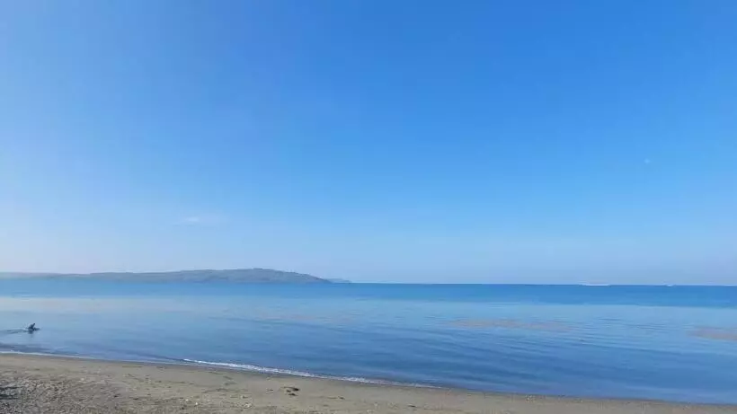 ホテル Beachfront Bed & Breakfast