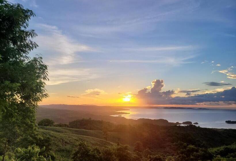 酒店 Beachfront Bed & Breakfast