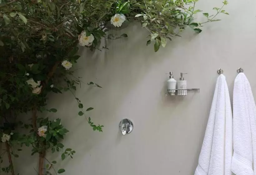 Majatalo Another World   Montagu