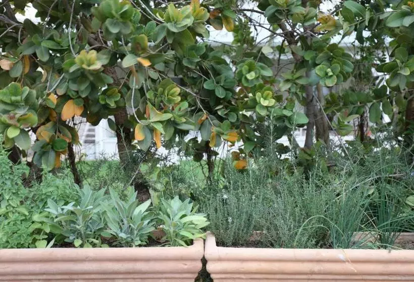 Majatalo Another World   Montagu