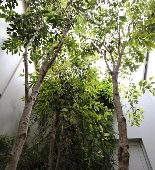 Majatalo Another World   Montagu