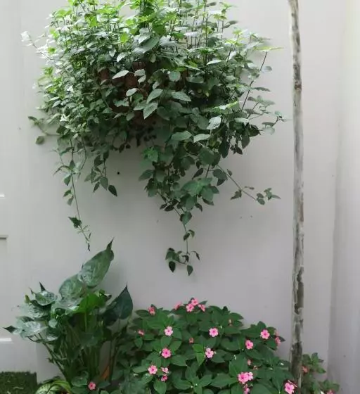 Majatalo Another World   Montagu