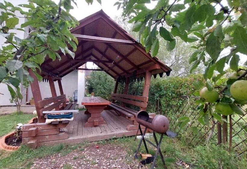 פנסיון Koteg Lemberg