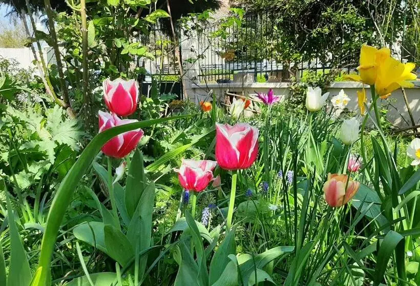 Majatalo Le Clos D Herblay Chambres D Hôtes