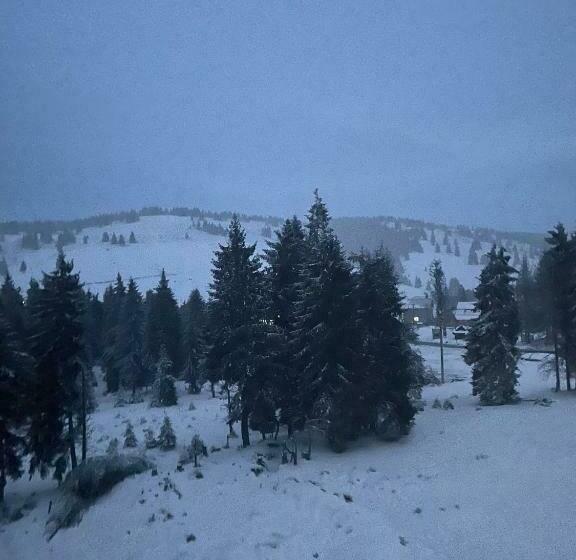 בית מלון כפרי Cabana Miramonte Vartop Arieseni