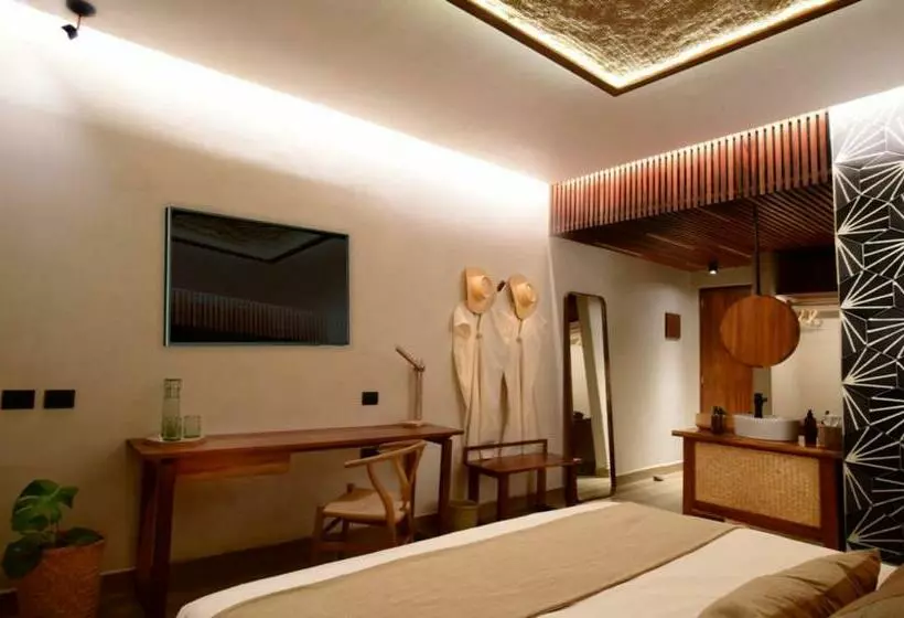 Xkan Hotel Boutique   Adults Only