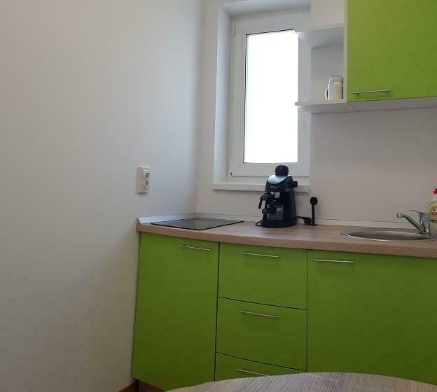 פנסיון Apartament 11 Budiu