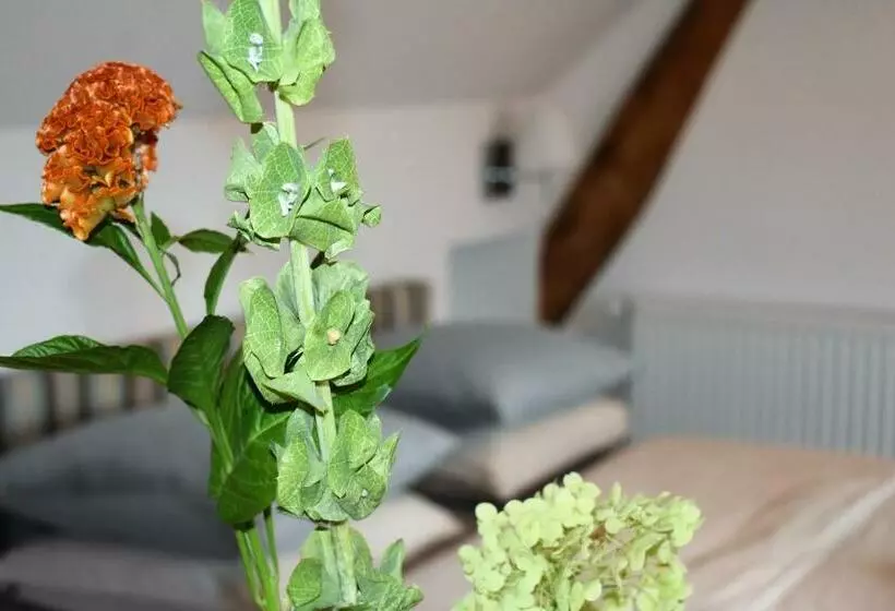 Aamiaismajoitus (B&B) De Oude Limonadefabriek