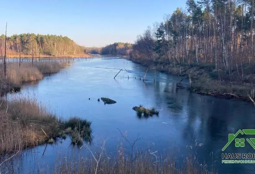 ペンション Ferienhaus Robert