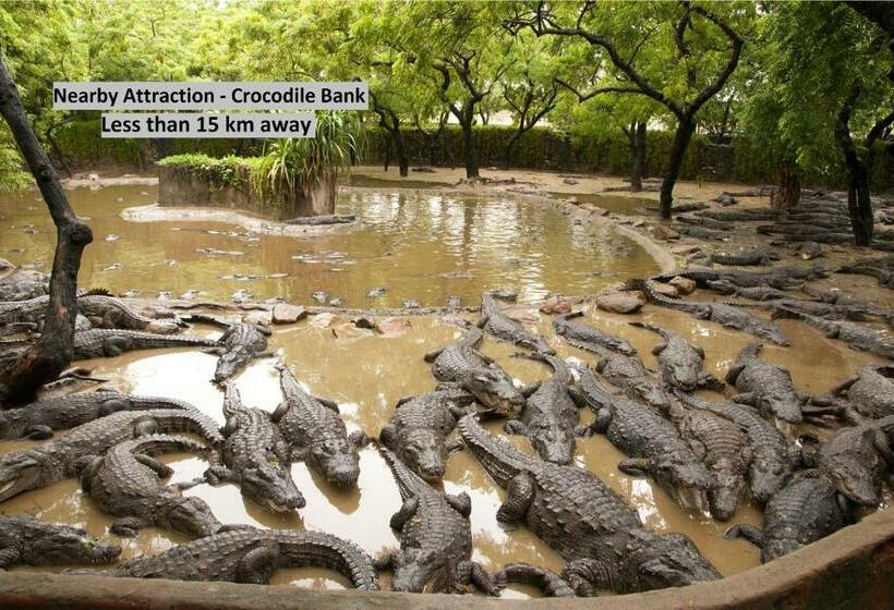 酒店 Collection O Senthamizh Residency