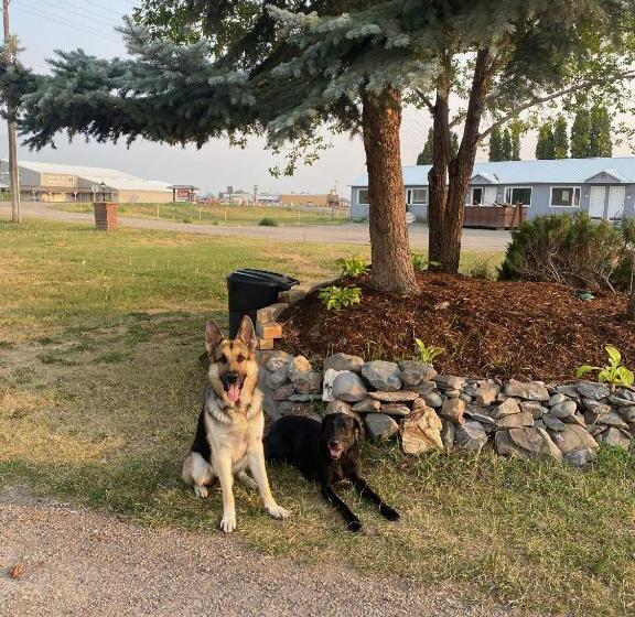 酒店 Sacajawea Inn