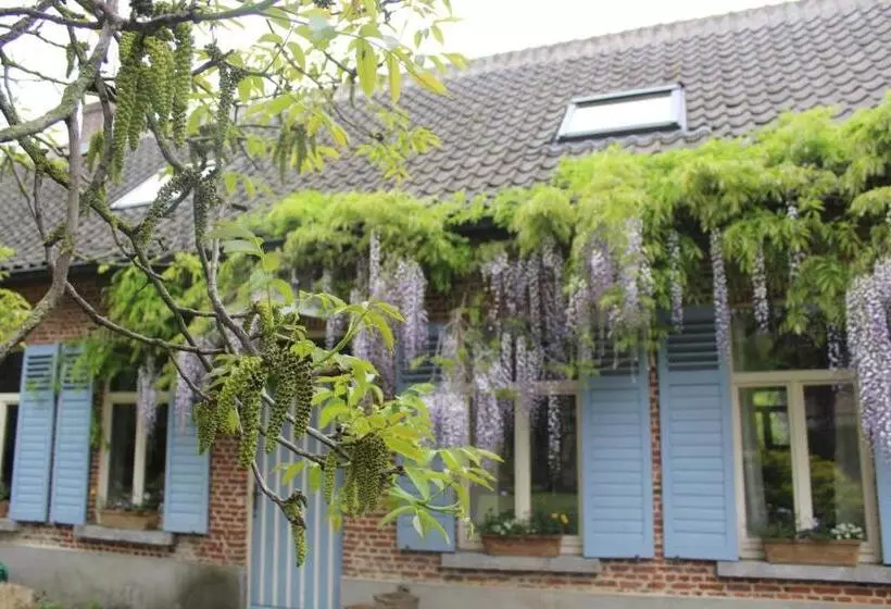 Saffels Nest 33