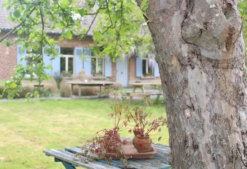 Saffels Nest 33
