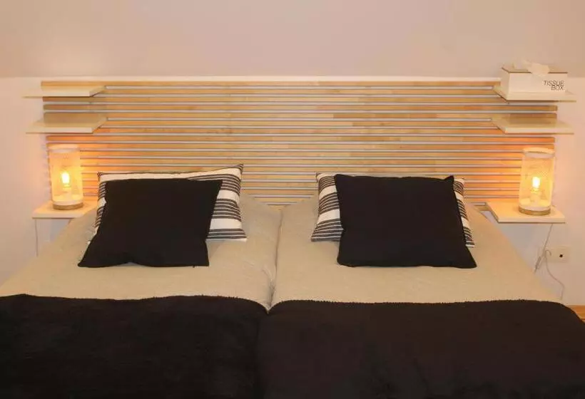 Saffels Nest 33