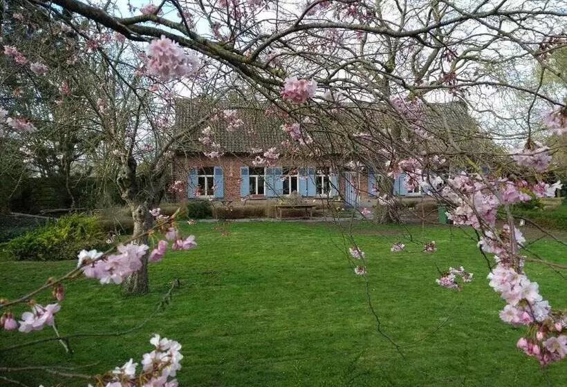 Saffels Nest 33