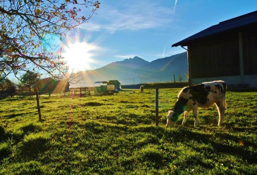 ベッドアンドブレックファースト Haus Fischer Nassfeldblick