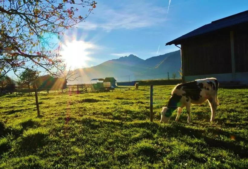 ベッドアンドブレックファースト Haus Fischer Nassfeldblick