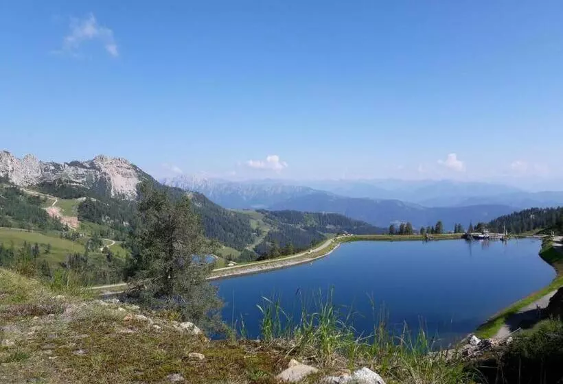 ベッドアンドブレックファースト Haus Fischer Nassfeldblick