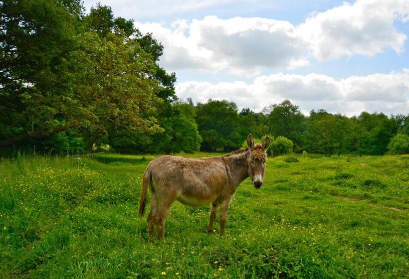 住宿加早餐  La Frapperie