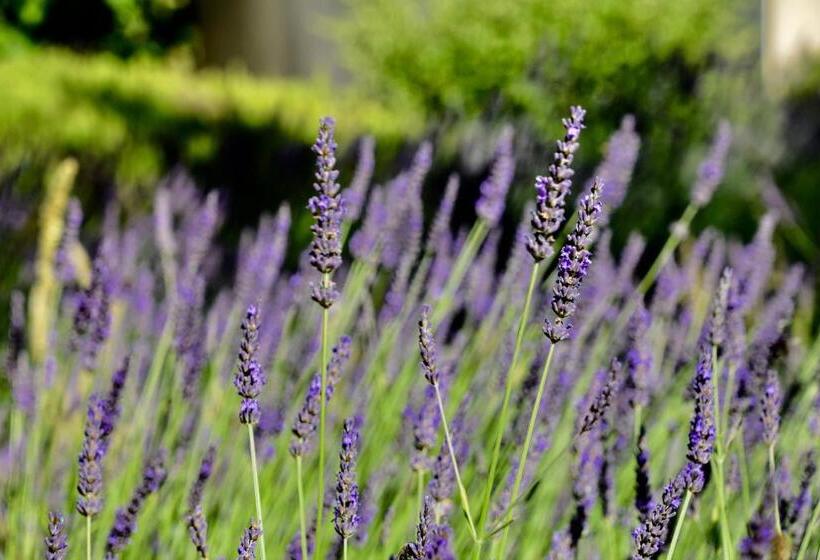 Bed and Breakfast Le Jardin Des Amandiers