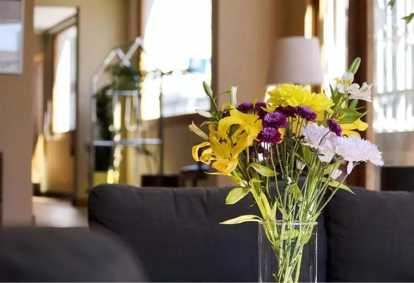 هتل Ohiggins Park