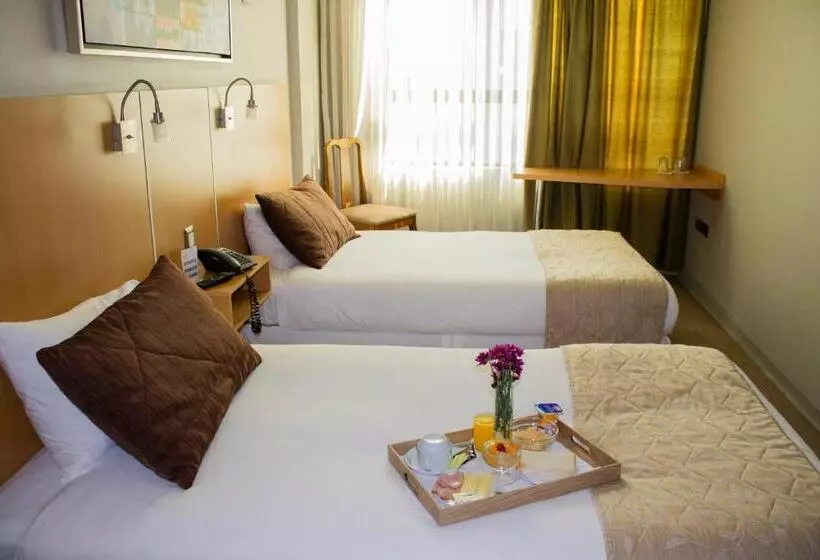 هتل Ohiggins Park