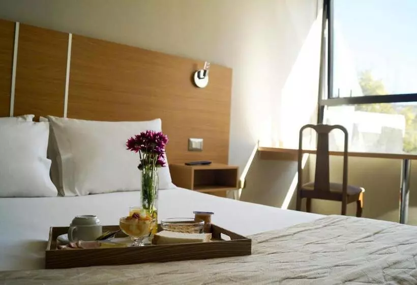 هتل Ohiggins Park