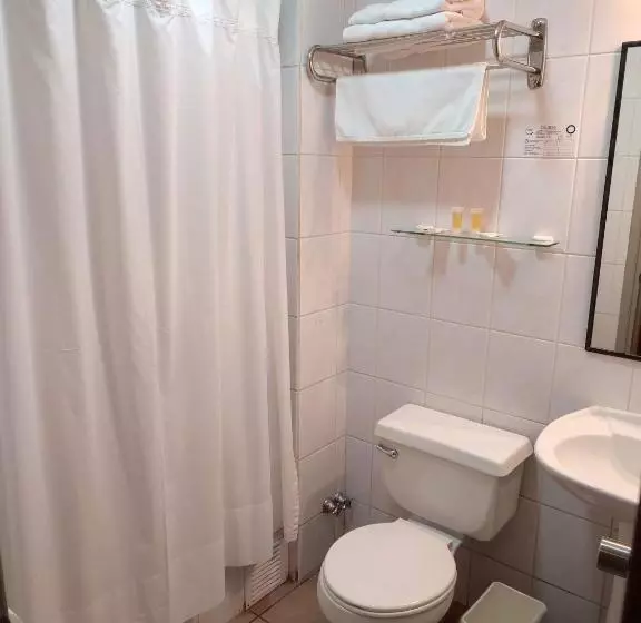 هتل Ohiggins Park