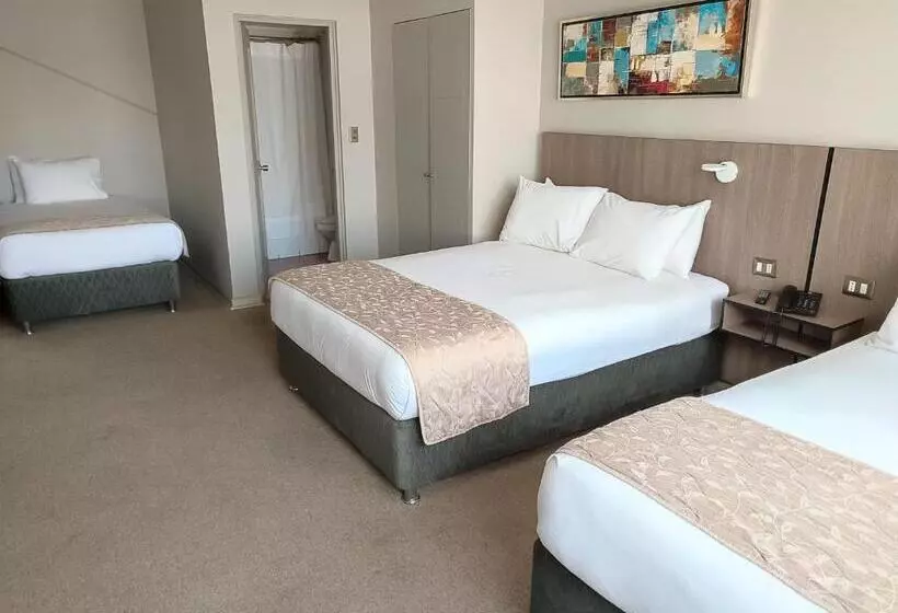 هتل Ohiggins Park